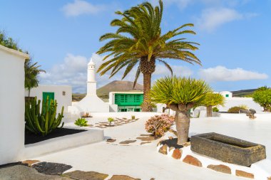 Tipik Kanarya tarzı binalar ve tropik bitkiler, El Latin