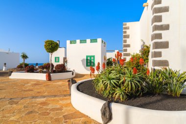 Marina Rubicon tipik Kanarya tarzı evleriyle kare