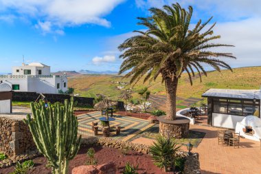 Mirador de Los Valles - dağ manzarası bakış açısı üzerinde tropikal bitki