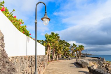 Playa Blanca tatil kasabasında tropik bitkiler ile Sahil mesire