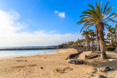 Playa Blanca Tatil Köyü içinde palmiye ağaçları ile Flamingo beach