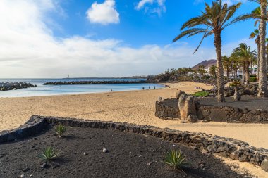 Playa Blanca Tatil Köyü içinde palmiye ağaçları ile Flamingo beach