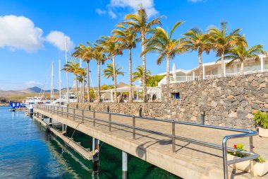 Karayipler style liman Puerto Calero yat teknelerde, palmiye ağaçlarında