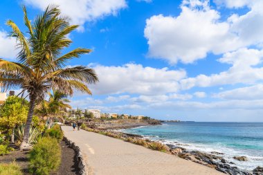 Palm ağacı ve okyanusta Playa Blanca tatil boyunca