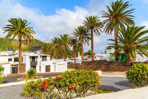 Kanariefågel stil hus i palm tree landskapet i Haría village — Stockfoto