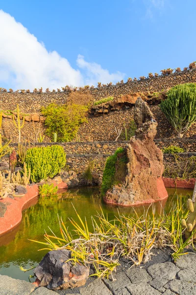 Jardín tropical de cactus en Guatiza pueblo — Foto de Stock