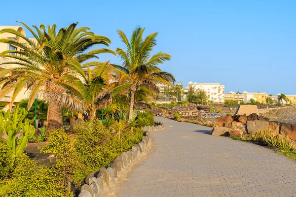 Palm trees and hotel buildings along coastal promenade in Playa Blanca — Stock Photo, Image