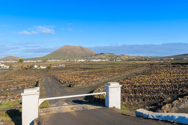 Puerta blanca y camino a casa en el paisaje volcánico del pueblo de La Geria — Foto de Stock