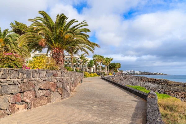 Coastal promenade with palm trees in Playa Blanca village — Stock Photo, Image