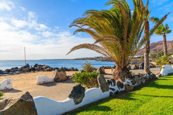 Playa Blanca tatil köyü kıyı sahil palmiye ağaçlarının