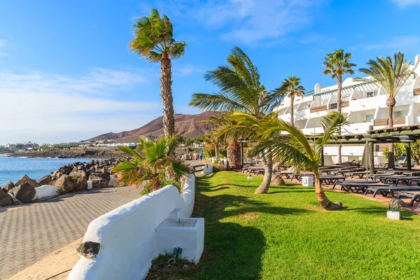 Palm trees on coastal promenade in Playa Blanca holiday village — Stock Photo, Image