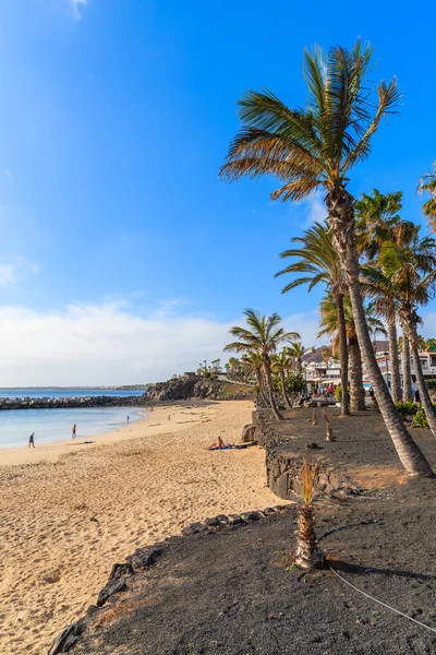 Flamingo beach with palm trees in Playa Blanca holiday village — Stock Photo, Image