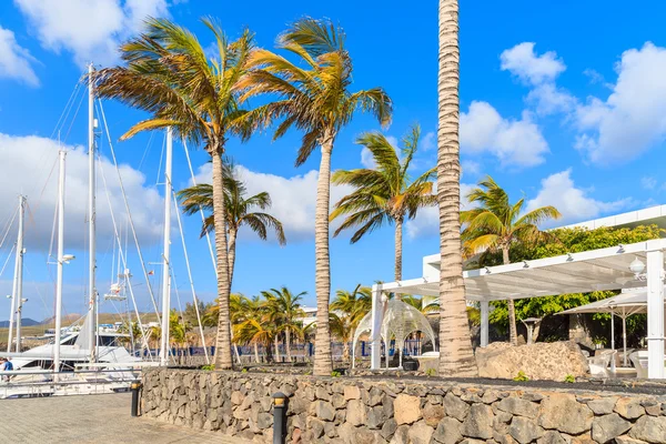 Palmy w karaibskim stylu port dla jachtów jacht, Puerto Calero — Zdjęcie stockowe