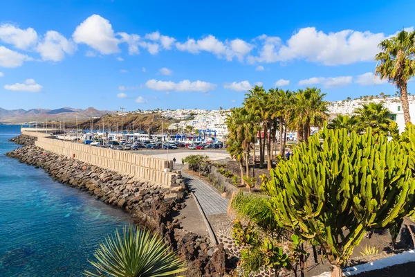 Gröna tropiska växter och utsikt över staden Puerto del Carmen — Stockfoto