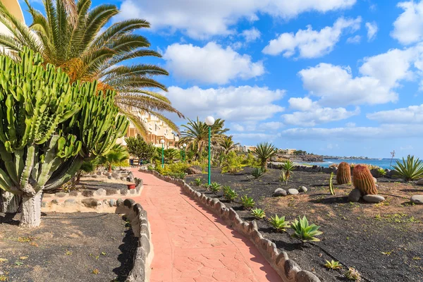 Vicolo a piedi lungo l'oceano nel villaggio Playa Blanca — Foto Stock