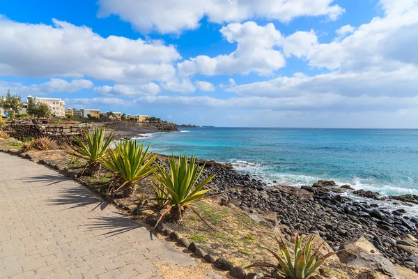 Plantes tropicales sur la promenade côtière de Playa Blanca — Photo