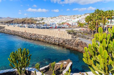 Kaktüs bitkileri Seaside Puerto del Carmen şehir