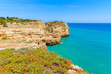 Portekiz kıyısında bahar çiçekleri