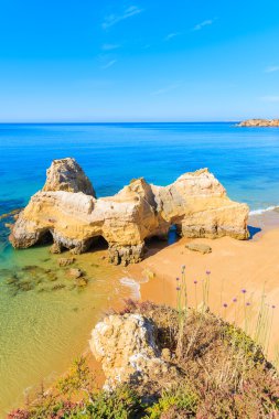Praia da Rocha Beach bir görünüm