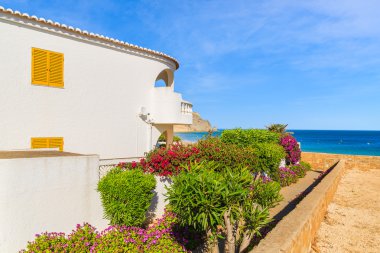 Geleneksel Beyaz Saray ile sarı pencere 