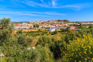 Silves şehir manzarasına sahip sarı çiçekler bahar