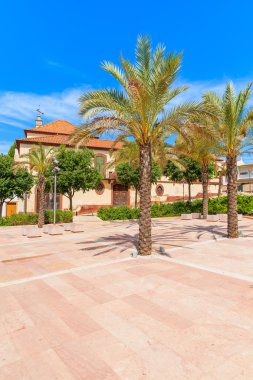 Palmiye ağaçları Silves tarihi Eski Şehir Meydanı