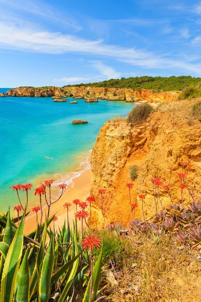 Una vista de una playa de Praia da Rocha — Foto de Stock