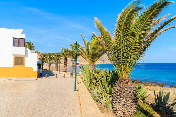 Strandpromenad med palmer — Stockfoto