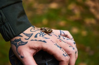 Doğayla birlik, eldeki kurbağa