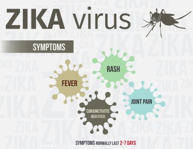 Zika virüs Infographic şablon belirtileri içerir. EPS 10