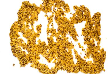 Abstract spot of mustard smeared with grains  clipart