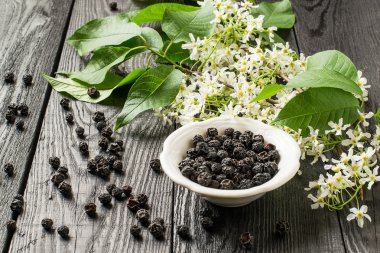 Şifalı bitki - kuş kiraz (Prunus padus)  