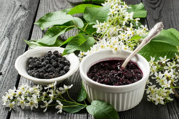 Planta medicinal - Cereza pájaro (Prunus padus ) — Foto de Stock