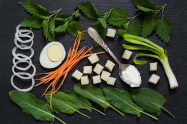 Kuzukulağı ve nettles hazırlık vitamin çorbası için malzemeler 