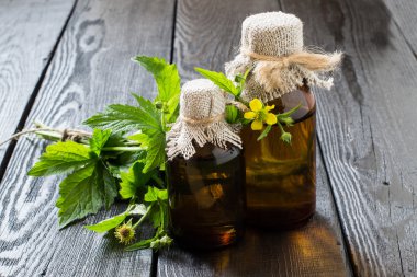 Herb Bennett (Geum urbanum) ve ilaç şişeleri 