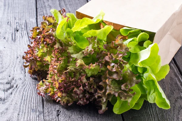 Свежий салат для диетической пищи в бумажном пакете — стоковое фото