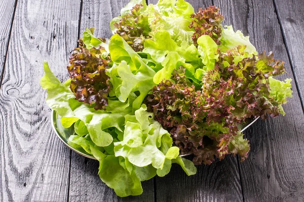 Frischer Salat als diätetisches Nahrungsmittel — Stockfoto
