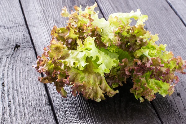 Alface fresca para um alimento dietético — Fotografia de Stock