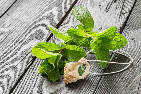 Essential oil and fresh mint — Stock Photo, Image