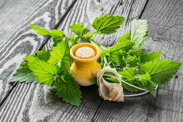 Aceite esencial de melisa y hojas frescas de melisa — Foto de Stock