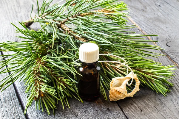 Olio essenziale di pino e rami di pino con coni verdi — Foto Stock