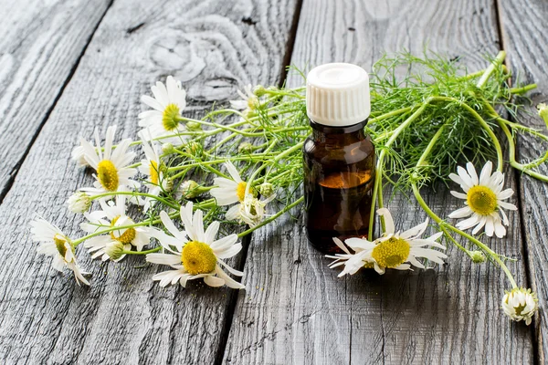 Chamomile essential oil and chamomile flowers — Stock Photo, Image