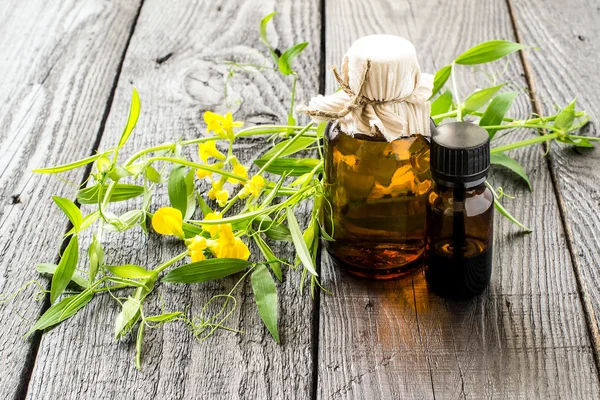 Medicinal växt Lathyrus pratensis och farmaceutiska flaskor — Stockfoto