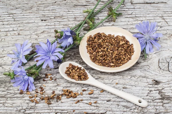 Bebida de achicoria y achicoria en flor —  Fotos de Stock