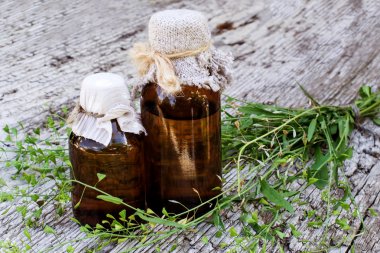 Şifalı bitki çoban çantası (Capsella bursa-pastoris) 