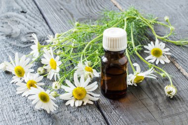 Chamomile essential oil and chamomile flowers  clipart