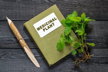 Nettles ve dizin tıbbi bitki   