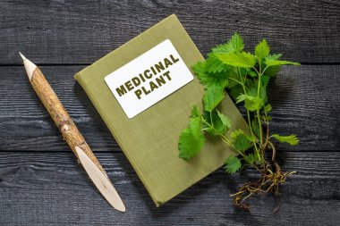Nettles and directory medicinal plant    clipart