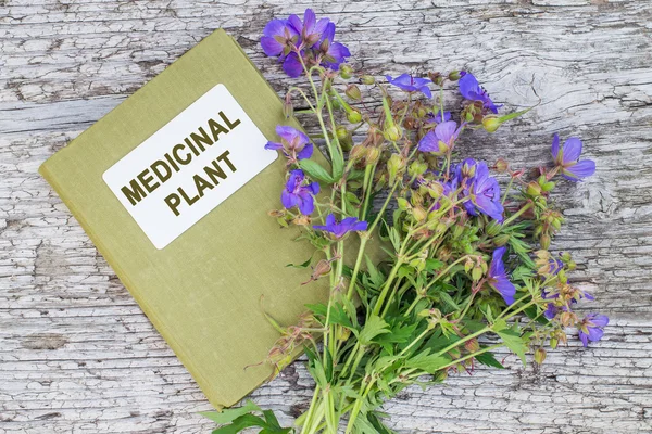 Geranium łąkowa (Geranium pratense) i plan leczniczy katalog — Zdjęcie stockowe
