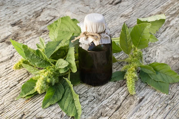 Redroot disznóparéj (Amaranthus retroflexus) és gyógyszerészeti Bott — Stock Fotó